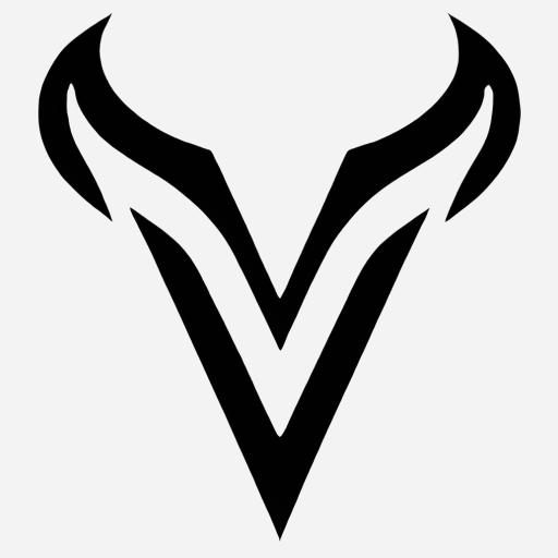 Лого на VladovScooters